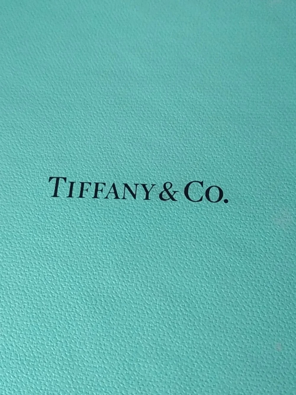 Tiffany & Co. Blue Gift Box